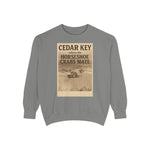 Cedar Key Humor Hooded Sweatshirt, Funny Sweatshirt, Unisex Hoodie, Gift for Him, Gift for Her, Casual Wear, Vacation Apparel