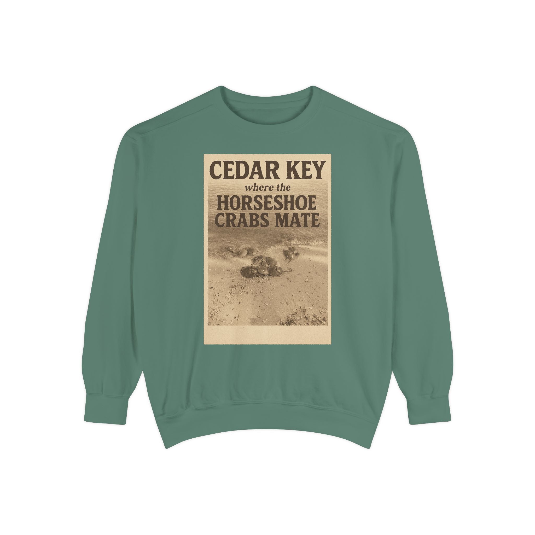 Cedar Key Humor Hooded Sweatshirt, Funny Sweatshirt, Unisex Hoodie, Gift for Him, Gift for Her, Casual Wear, Vacation Apparel