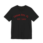 Cedar Key Vintage Tee - Unisex Jersey Short Sleeve Shirt, Casual Wear, Lightweight Cotton, Perfect Beach Vacation Gift, Florida Pride [...]