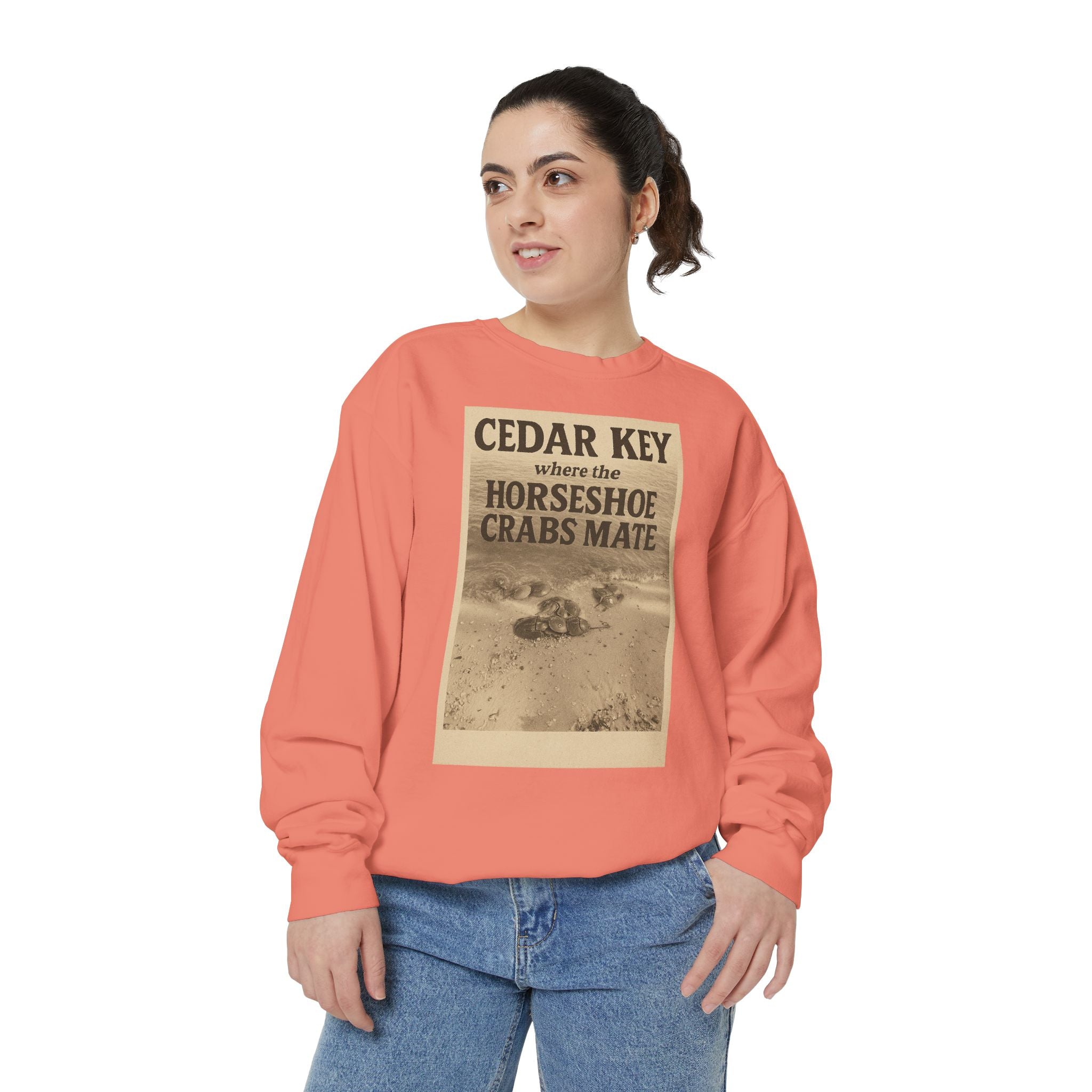 Cedar Key Humor Hooded Sweatshirt, Funny Sweatshirt, Unisex Hoodie, Gift for Him, Gift for Her, Casual Wear, Vacation Apparel