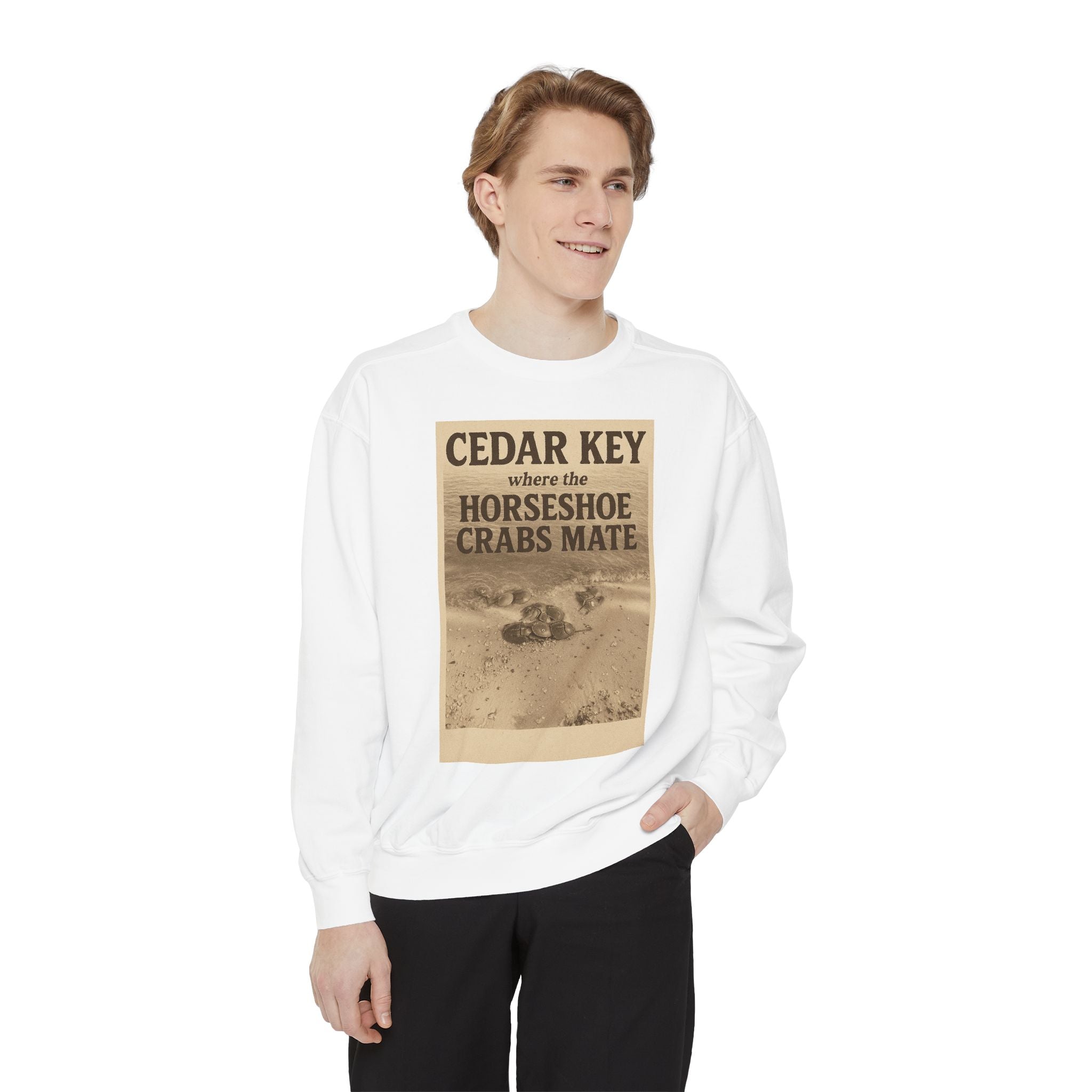 Cedar Key Humor Hooded Sweatshirt, Funny Sweatshirt, Unisex Hoodie, Gift for Him, Gift for Her, Casual Wear, Vacation Apparel