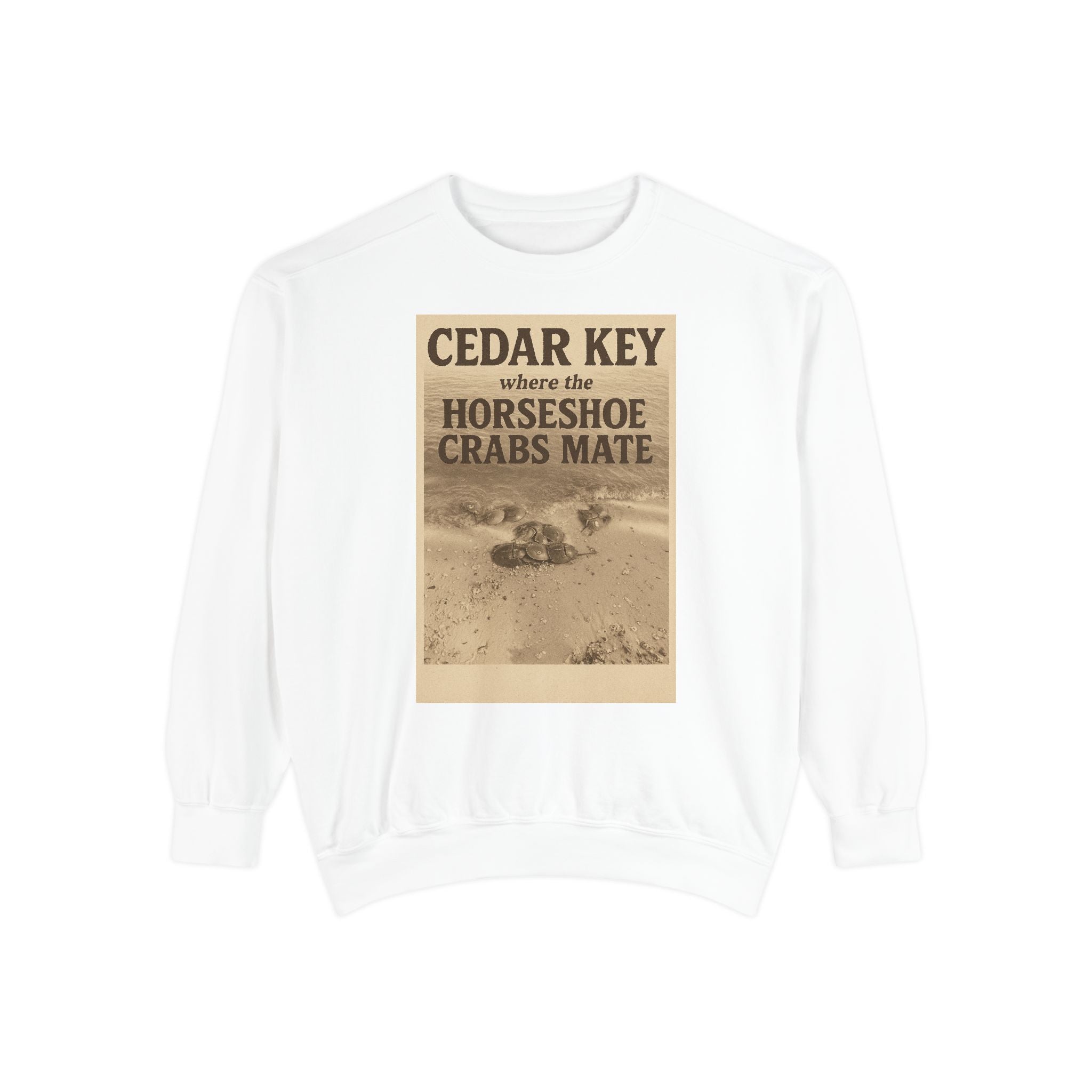 Cedar Key Humor Hooded Sweatshirt, Funny Sweatshirt, Unisex Hoodie, Gift for Him, Gift for Her, Casual Wear, Vacation Apparel