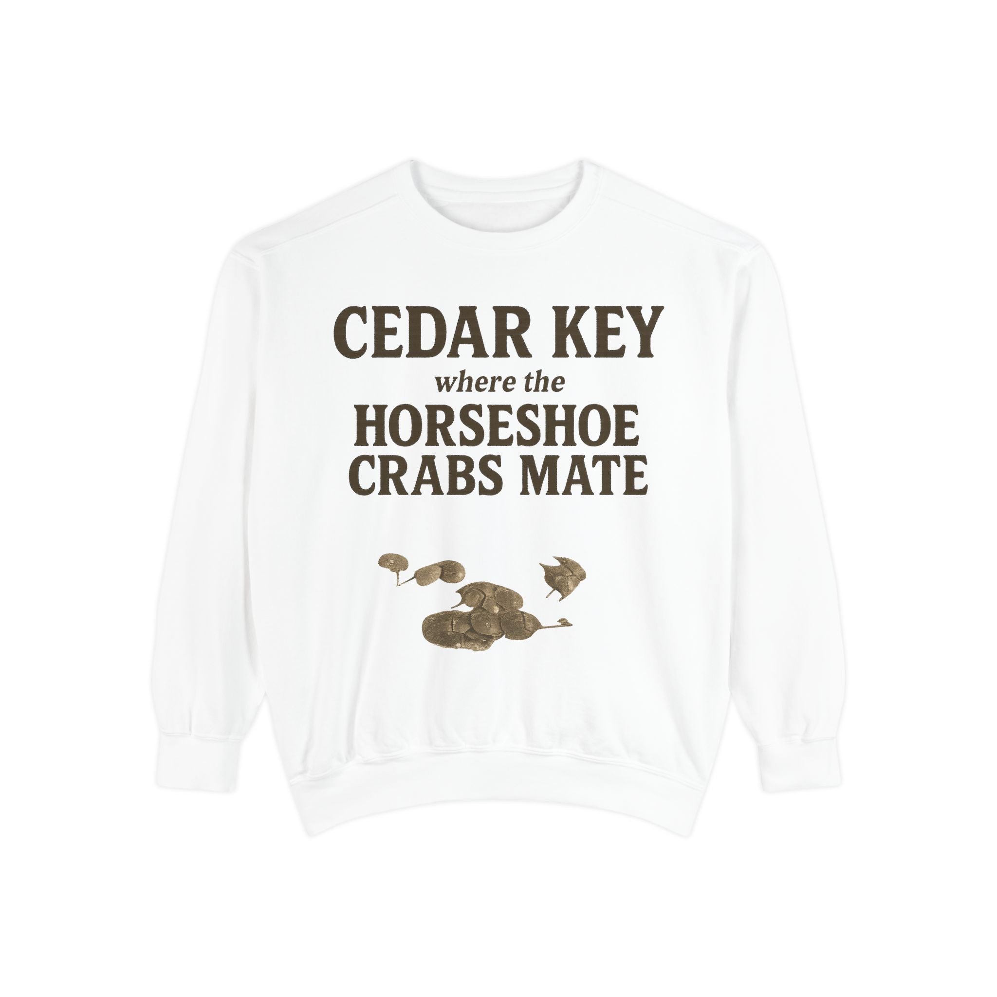Cedar Key Horseshoe Hooded Sweatshirt