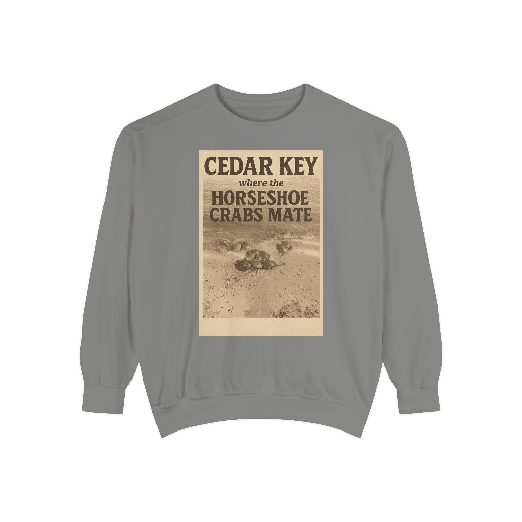 Cedar Key Humor Hooded Sweatshirt, Funny Sweatshirt, Unisex Hoodie, Gift for Him, Gift for Her, Casual Wear, Vacation Apparel