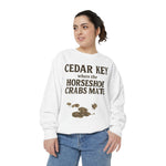 Cedar Key Horseshoe Hooded Sweatshirt