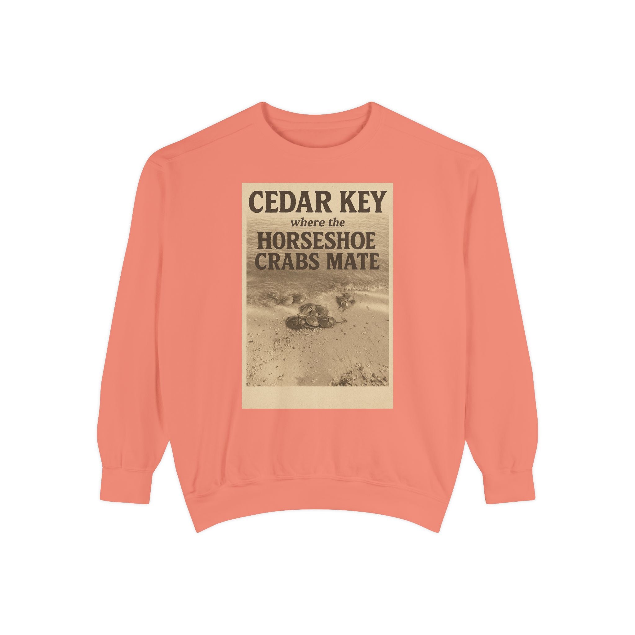 Cedar Key Humor Hooded Sweatshirt, Funny Sweatshirt, Unisex Hoodie, Gift for Him, Gift for Her, Casual Wear, Vacation Apparel