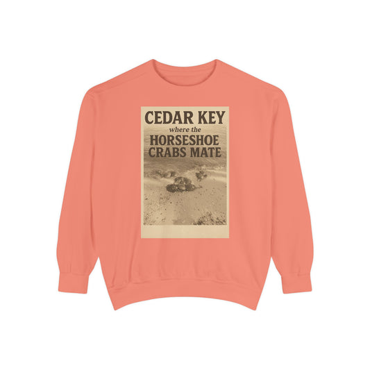 Cedar Key Humor Hooded Sweatshirt, Funny Sweatshirt, Unisex Hoodie, Gift for Him, Gift for Her, Casual Wear, Vacation Apparel