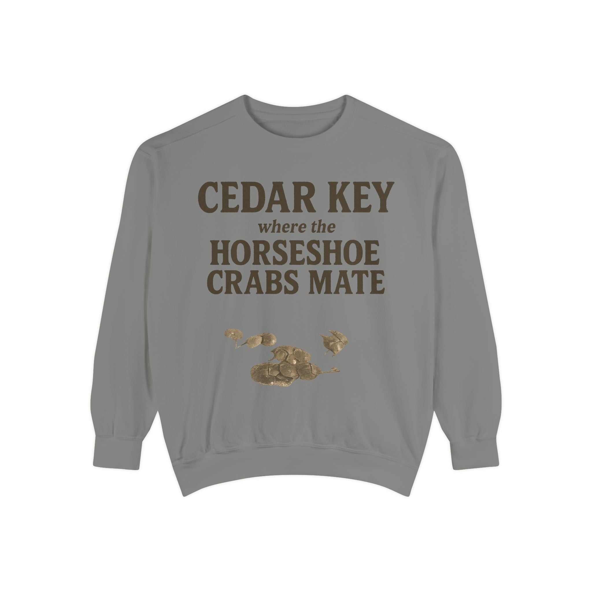 Cedar Key Horseshoe Hooded Sweatshirt