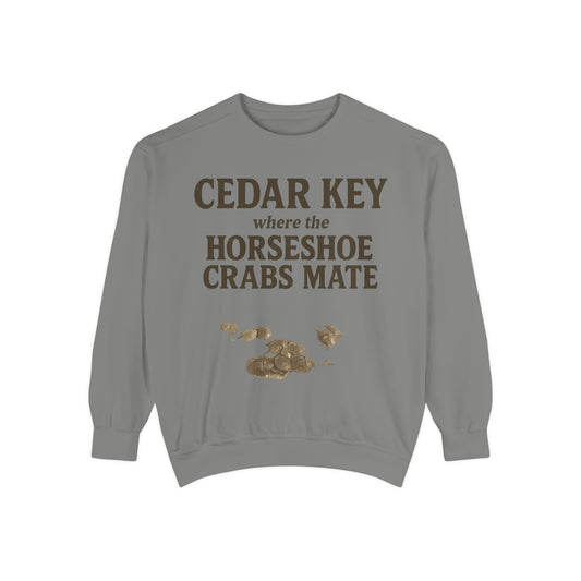 Cedar Key Horseshoe Hooded Sweatshirt