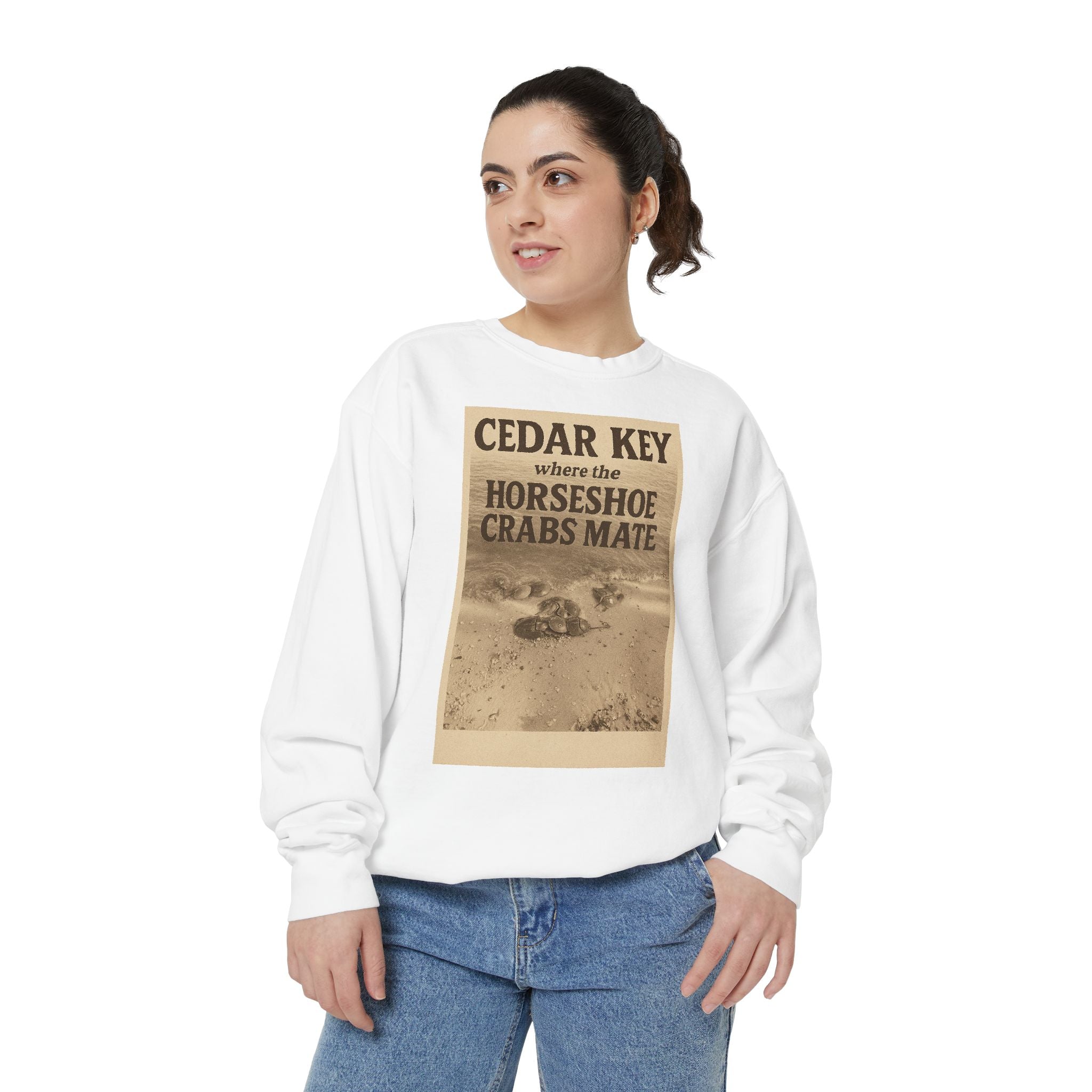 Cedar Key Humor Hooded Sweatshirt, Funny Sweatshirt, Unisex Hoodie, Gift for Him, Gift for Her, Casual Wear, Vacation Apparel