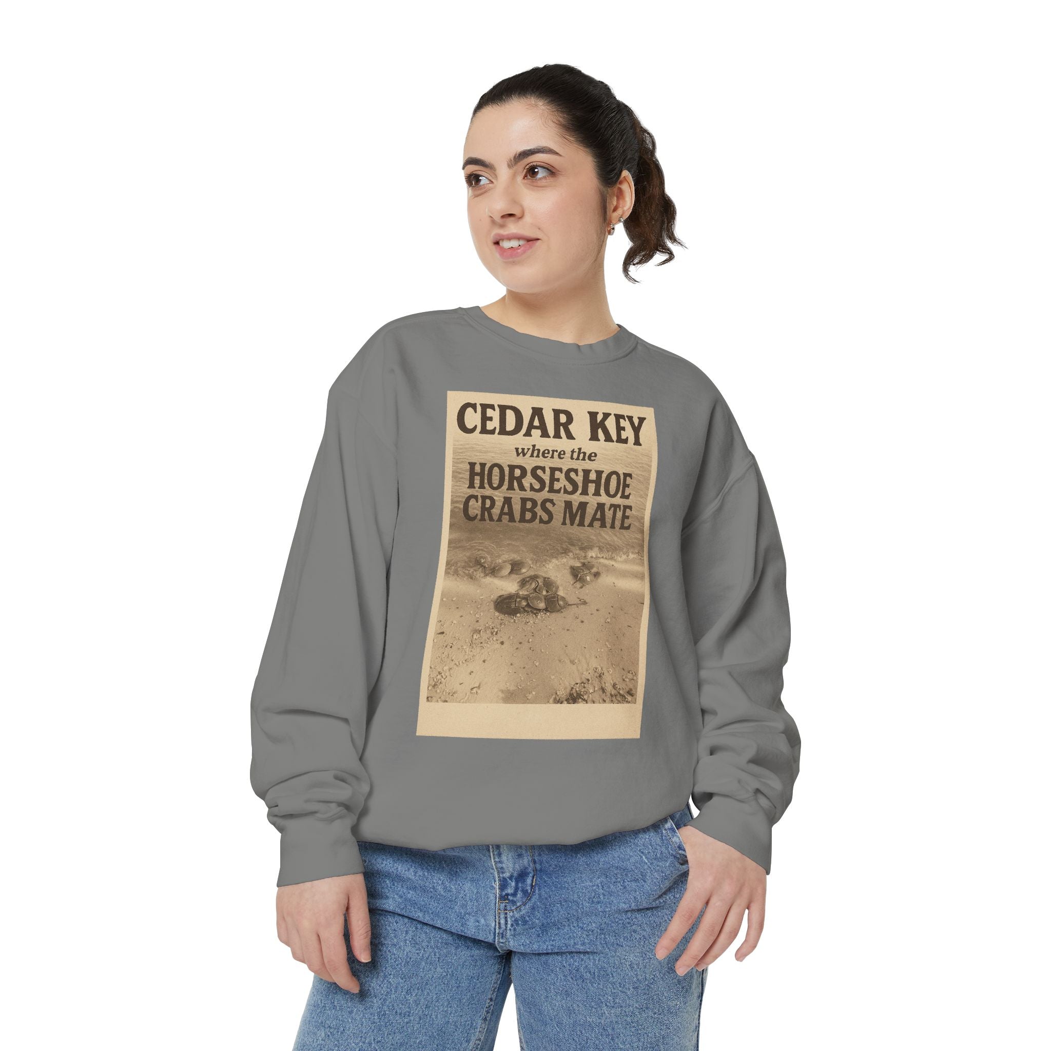 Cedar Key Humor Hooded Sweatshirt, Funny Sweatshirt, Unisex Hoodie, Gift for Him, Gift for Her, Casual Wear, Vacation Apparel