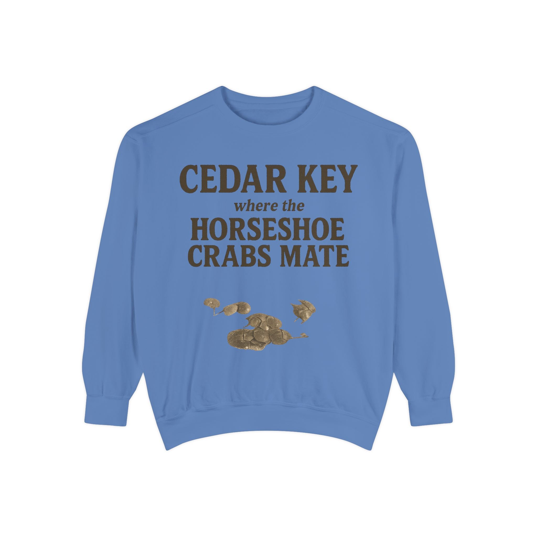 Cedar Key Horseshoe Hooded Sweatshirt