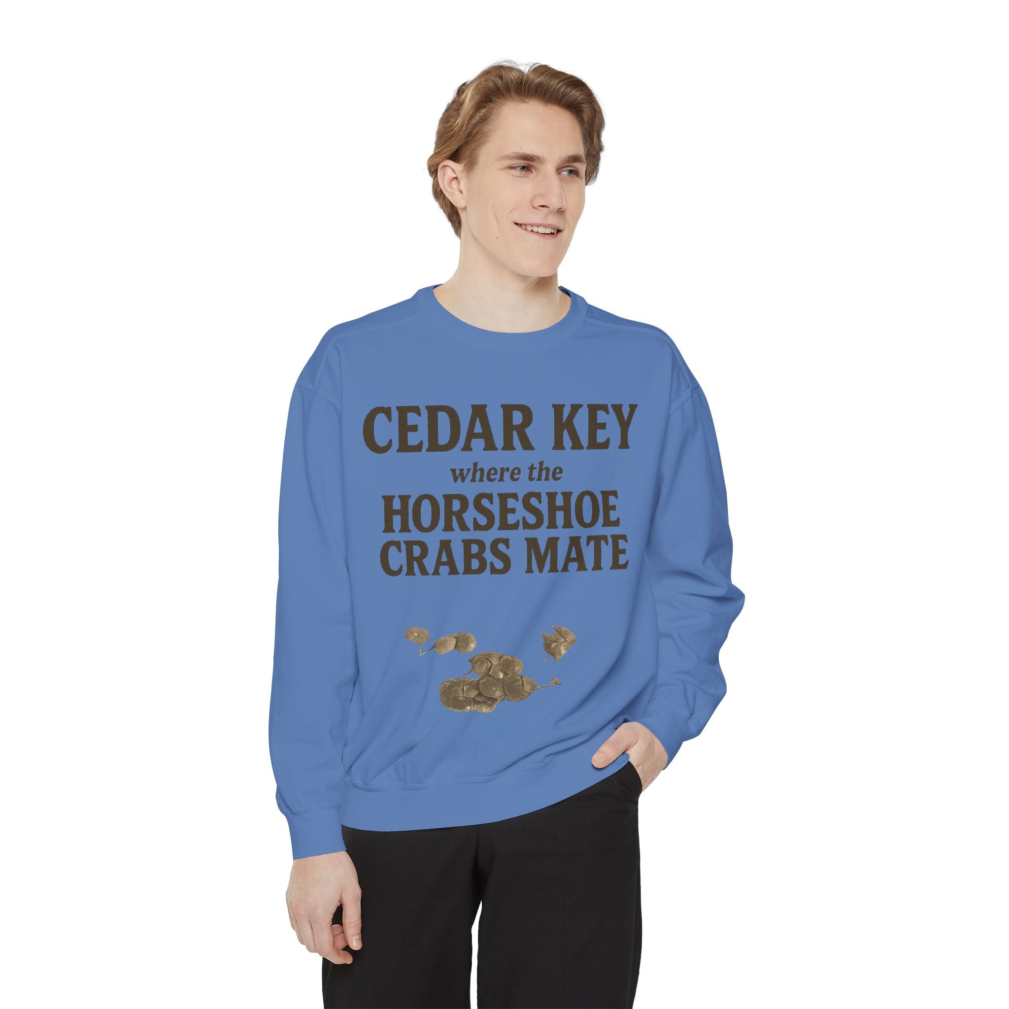 Cedar Key Horseshoe Hooded Sweatshirt
